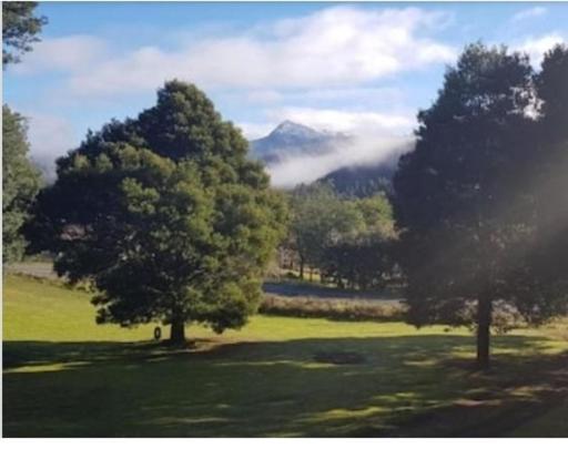 Russell Falls Holiday Cottages National Park Exterior foto