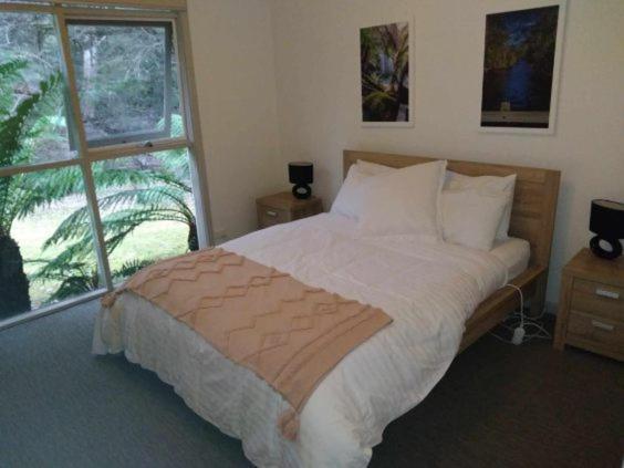 Russell Falls Holiday Cottages National Park Exterior foto